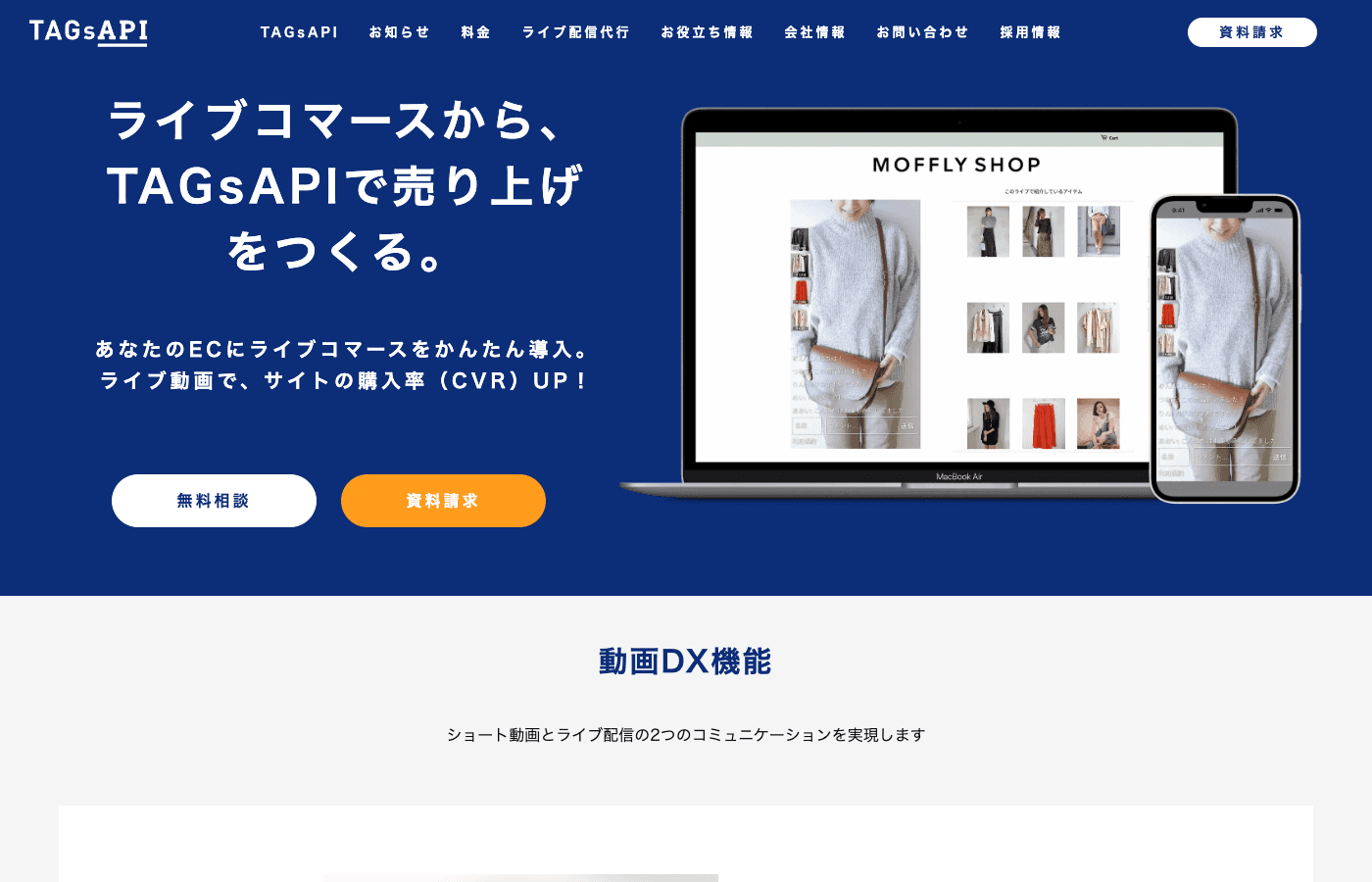 TAGsAPI の公式サイト